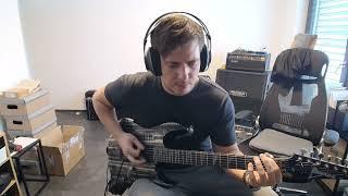 Veil of Maya - Divide Paths (cover)