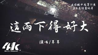 羊羊 - 這雨下得好大『這雨下得好大 我拼命的掙扎，不願再聽你說的那些謊話。』【高音質|動態歌詞Lyrics】