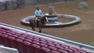 Mike Jeffers riding Gus 2024 futurity first round