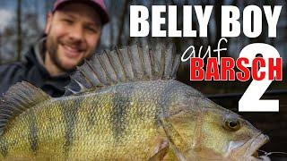 Belly Boy auf Barsch 2 | 2024 Remake | Angelrap Vol. 2