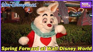 The White Rabbit Springs Forward at Walt Disney World - 2025