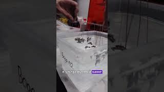 Покрытие катафарезным лаком изделий из ЦАМ  #литьё