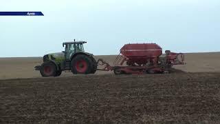 Міністерство аграрної політики та продовольства України надає малим фермерам насіння ярої пшениці