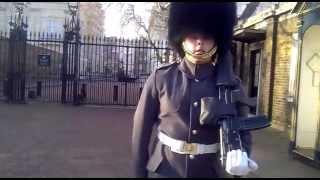 buckingham palace guard