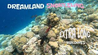 Dreamland Maldives Resort snorkeling [extended version to dream] 4K