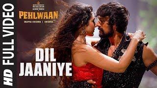 Dil Jaaniye Full Video | Pehlwaan - Hindi | Kichcha Sudeepa | Krishna | Arjun Janya