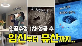 난임브이로그 ep.3 인공수정 후 임신부터 유산까지.. 고사난자, 아기 발견, 결국 계류유산