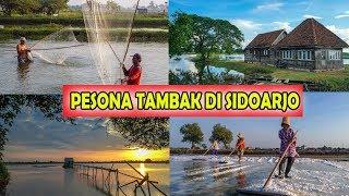 Pesona Tambak di Sidoarjo