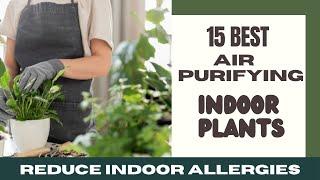 Top 15 Air Purifying Indoor Plants | Best Indoor Plants To Keep Allergies Away | 2025 Plant Trends