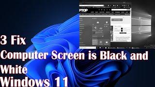 3 Fix Computer Screen is Black and White on Windows 11