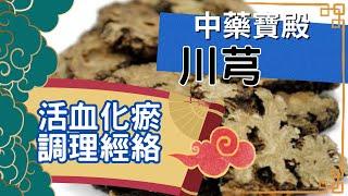 中藥川芎：活血化瘀，調理經絡的良藥