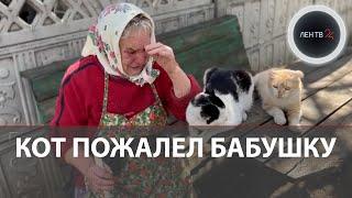 Бабушка плачет, кот утешает хозяйку | Обстрел в Донецкой области лишил их дома | Видео