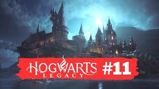 Hogwarts Legacy  #11 - Требуется доставка | Лётные испытания | В тенях крипты