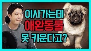 집구하기팁 / 원룸에 애완동물(강아지,고양이) 왜 못키우나요? [덕방아재]