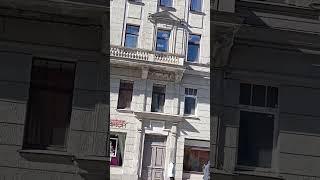 Большой проспект П. С. Петербург.