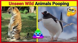 Wild Animals pooping compilation | Animals pooping #facts