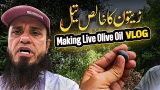 Mufti Tariq Masood Pure Olive Oil Vlog ( Final Part )