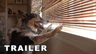 Pups Alone (2021) | Trailer｜Jerry O'Connell | Jennifer Love Hewitt |  Rob Schneider