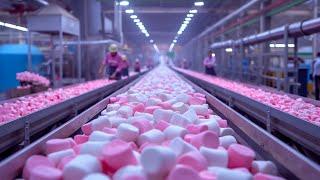 Marshmallow MEGA Factory: Processing Millions of Marshmallow Using Modern Technology