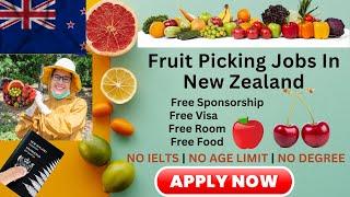 Fruit Picking Jobs in New Zealand | New Zealand Work Visa | Fruit Pickers Jobs