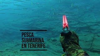 PESCA SUBMARINA ENERO EN TENERIFE 2023/SPEARFISHING IN CANARY ISLAND