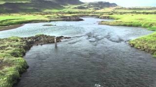 WhereWiseMenFish -Salmon Fishing in Iceland