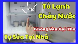 Cách Sửa Tủ Lạnh Chảy Nước Không Phải Thợ Cũng Làm Được chỉ cần làm theo video đảm bảo hết 100%