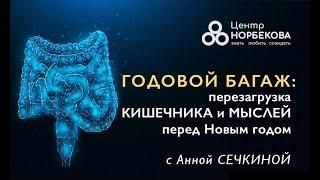 "Годовой багаж: перезагрузка кишечника и мыслей перед Новым годом" с Анной Сечкиной 24 декабря 18:00