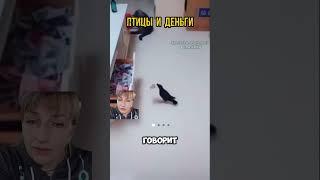 Птицы и Деньги #сверхъестественное #непознанное #деньги #животные