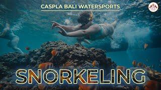 BEST SNORKELING Site at Nusa Penida