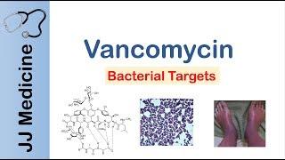 Vancomycin | Bacterial Targets, Mechanism of Action, Adverse Effects