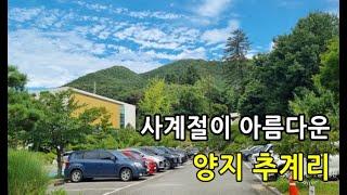 매가;4억3천 전원환경 1번지 양지 추계리/용인전원주택매매