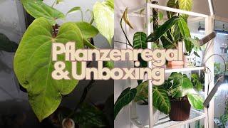 Pflanzenregal VITTSJÖ Set up & ECUAGENERA UNBOXING 🪴