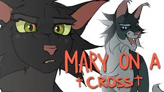 Mary on a Cross || Warriors Animation (Ashfur and Hollyleaf)