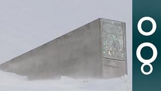 Doomsday Vault Keeps Food For Hard Times