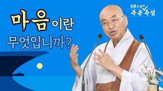 1923. 마음이란 무엇입니까?