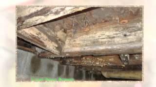 Best Structural Repair in Seminole County | Orange County Florida