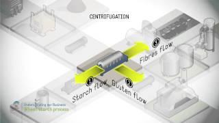 Wheat starch process