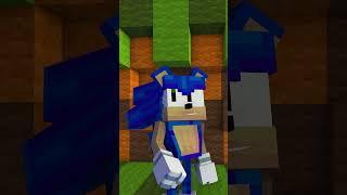 Whoopsies  #sonic #mineimator #sonicthehedgehog