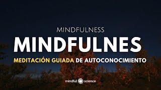  Reencuéntrate Contigo  | Meditación Guiada de Autoconocimiento  Haz una pausa ‍️ #mindfulness