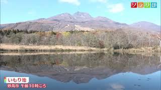 絶景「逆さ妙高山」いもり池の水面にはっきり妙高山の姿 　スーパーJにいがた11月9日OA