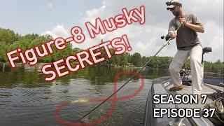 Figure-8 Secrets: Unlocking the Key to LAZY Muskie Follows! S7.E37