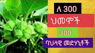 ለ300 በሽታዎች 300 ባህላዊ መድሃኒቶች!! ETHO TUBE ኢትዮ ቲዩብ.… ኑ ተማሩ