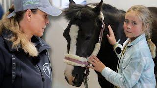 Kinderpony hat massive Probleme - Kann Soraja noch geholfen werden?