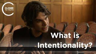 Joshua Knobe - What is Intentionality?