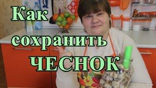 Хранение чеснока. Чеснок будто только с грядки.