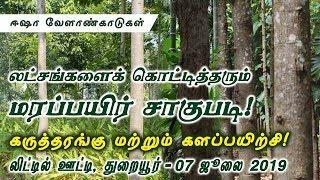 டிம்பர் மர வளர்ப்பு பயிற்சி_Timber Crop cultivation training