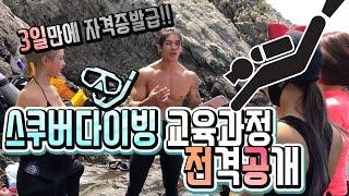 스쿠버다이빙 3일이면 자격증 교육이 가능하다고!? 실화야? 교육과정 전격 공개! / Scuba Diving 3 Days of Curriculum