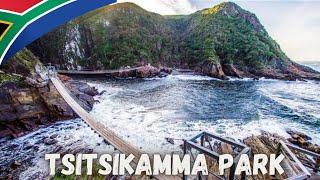 Exploring the Garden Route: Tsitsikamma National Park Adventure️