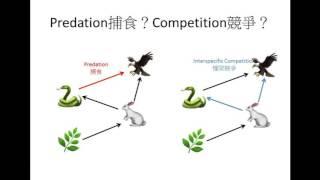 DSE Bio 食物網與生態平衡 Food web and ecological balance-Ecology 生態學 7